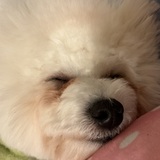 3M〜3Day'sメンズエステホームページ立ち上げプロジェクト〜