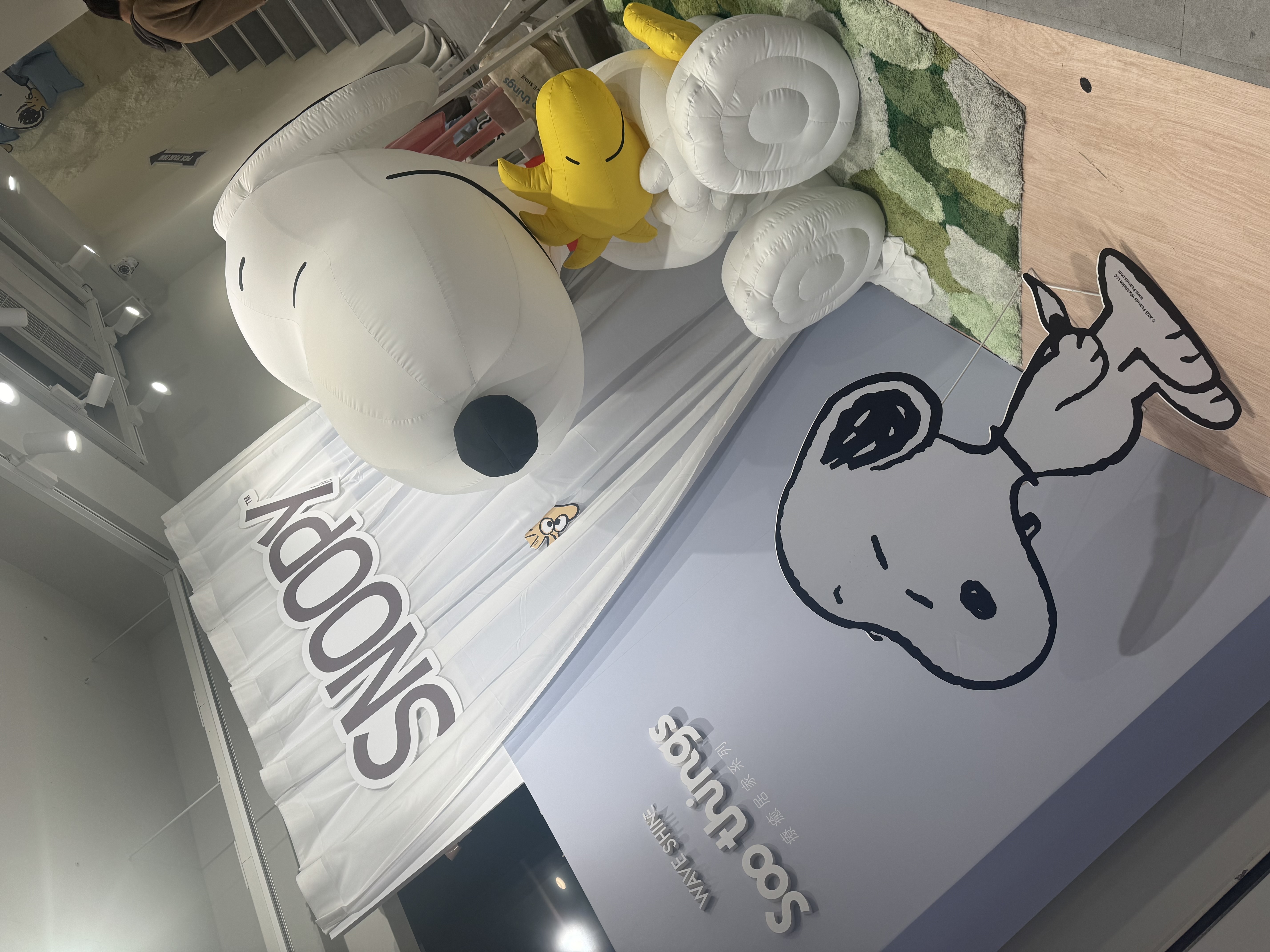 🧸🩵🩵メイン画像