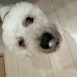 3M〜3Day'sメンズエステホームページ立ち上げプロジェクト〜