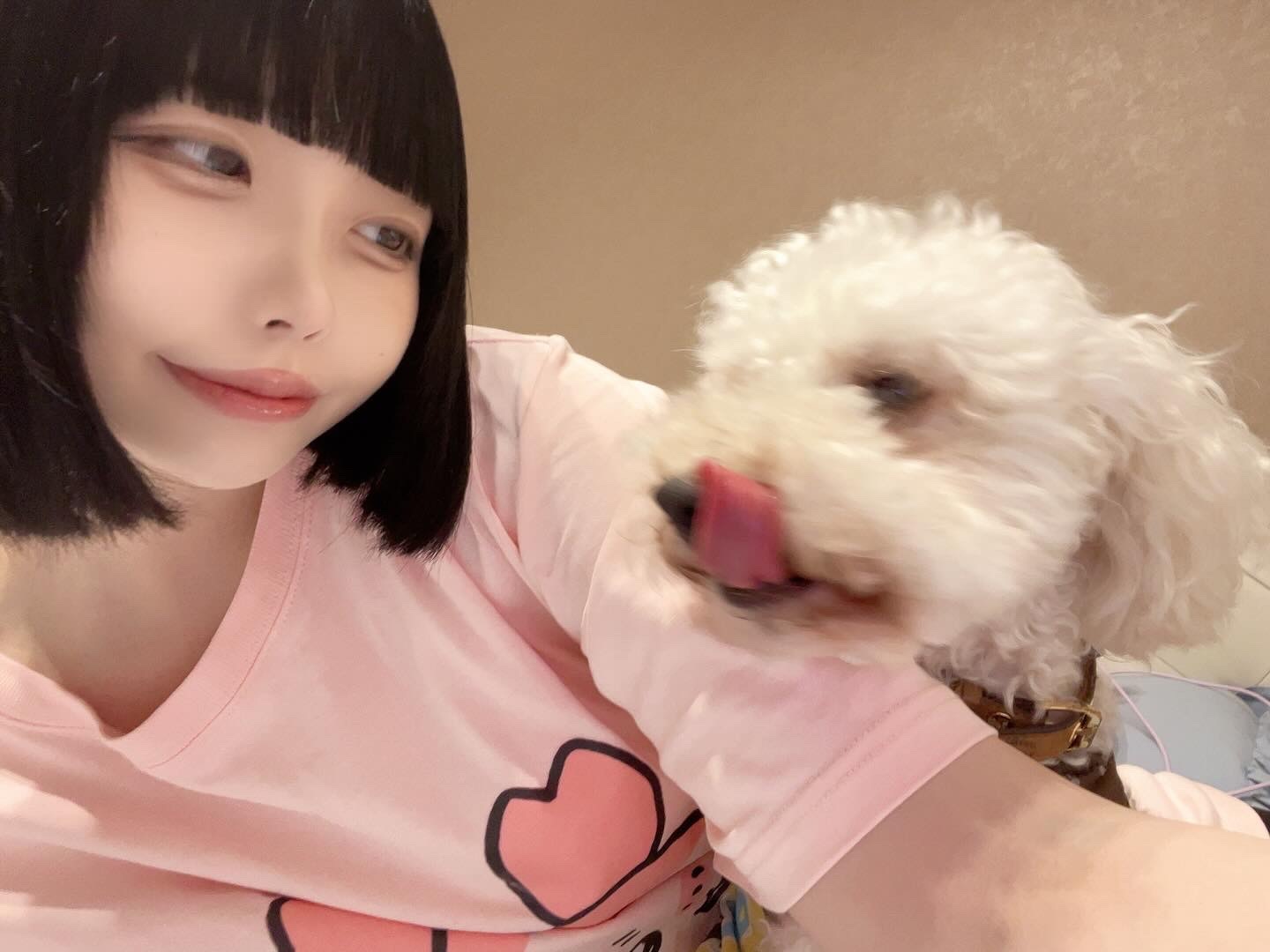 年内完売、1月の予定メイン画像