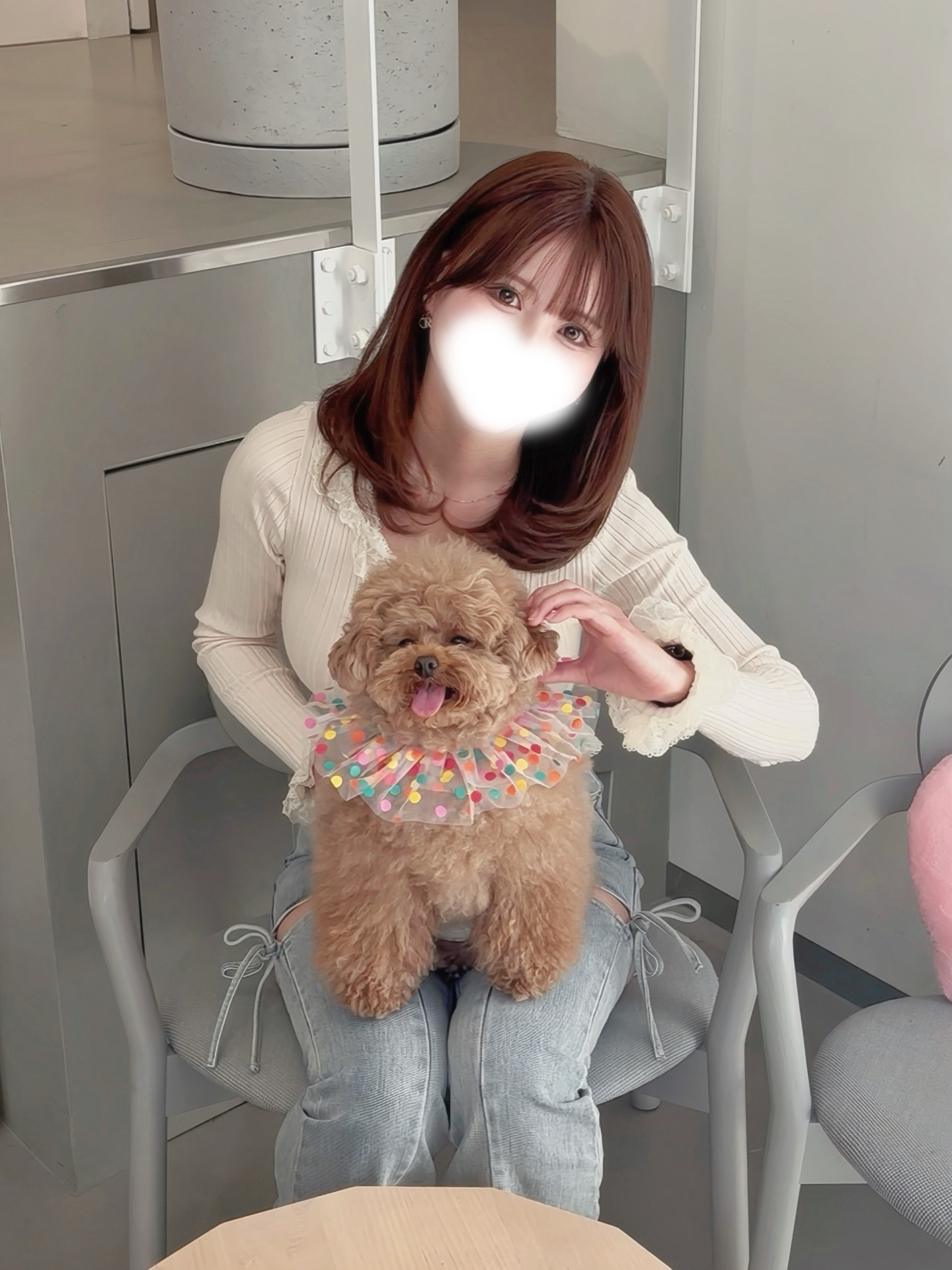 ワンちゃん飼ったことないですメイン画像