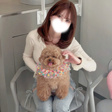 ワンちゃん飼ったことないです次のブログ
